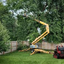 Reliable Lyndhurst, OH Tree Removal and Landscaping Services Solutions